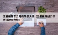 王者荣耀李云龙教学张大仙（王者荣耀赵云张大仙教学视频）