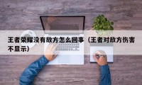 王者荣耀没有敌方怎么回事（王者对敌方伤害不显示）