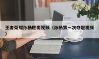 王者荣耀孙杨胜出视频（孙杨第一次夺冠视频）