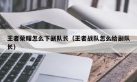 王者荣耀怎么下副队长（王者战队怎么给副队长）