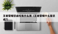 王者荣耀惩戒权有什么用（王者荣耀什么是惩戒?）