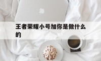 王者荣耀小号加你是做什么的（王者小号）