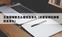 王者荣耀里怎么看禁言多久（王者荣耀在哪看禁言多久）