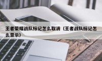 王者荣耀战队标记怎么取消（王者战队标记怎么显示）