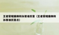 王者荣耀廉颇和孙策谁厉害（王者荣耀廉颇和孙策谁厉害点）