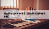 王者荣耀组队APP语音（王者荣耀组队语音软件）