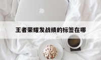 王者荣耀发战绩的标签在哪（王者荣耀战绩标记）