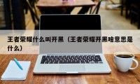 王者荣耀什么叫开黑（王者荣耀开黑啥意思是什么）