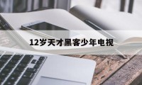 12岁天才黑客少年电视（电影12岁电脑天才黑客）