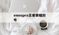 vmospro王者荣耀封号（vmospro王者荣耀闪退）