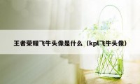 王者荣耀飞牛头像是什么（kpl飞牛头像）