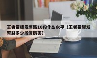 王者荣耀发育路10段什么水平（王者荣耀发育路多少段算厉害）