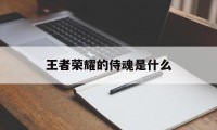 王者荣耀的侍魂是什么（侍魂宫本技能）