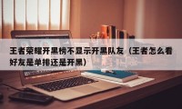 王者荣耀开黑榜不显示开黑队友（王者怎么看好友是单排还是开黑）