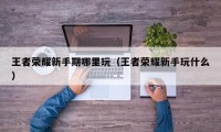 王者荣耀新手期哪里玩（王者荣耀新手玩什么）