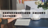 王昭君如何才能玩好王者荣耀（王者王昭君怎么玩才能厉害）