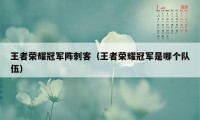 王者荣耀冠军阵刺客（王者荣耀冠军是哪个队伍）