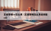 王者荣耀cd怎么用（王者荣耀怎么发送技能cd）