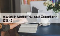 王者荣耀刺客澜技能介绍（王者荣耀澜技能介绍图片）