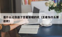 是什么让你退了王者荣耀的坑（王者为什么要退款）