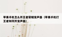 苹果手机怎么开王者荣耀变声器（苹果手机打王者如何开变声器）