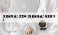 王者荣耀战力值查询（王者荣耀战力哪里查询）