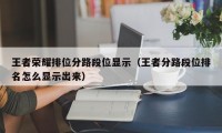 王者荣耀排位分路段位显示（王者分路段位排名怎么显示出来）