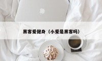 黑客爱健身（小爱是黑客吗）