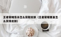 王者荣耀告诉怎么获取皮肤（王者荣耀里面怎么获得皮肤）