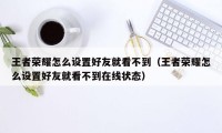 王者荣耀怎么设置好友就看不到（王者荣耀怎么设置好友就看不到在线状态）