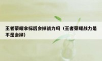 王者荣耀拿标后会掉战力吗（王者荣耀战力是不是会掉）