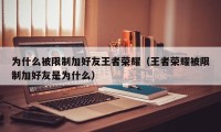 为什么被限制加好友王者荣耀（王者荣耀被限制加好友是为什么）