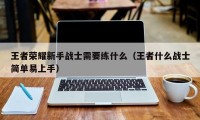 王者荣耀新手战士需要练什么（王者什么战士简单易上手）