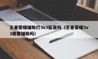 王者荣耀辅助打3v3能赢吗（王者荣耀3v3需要辅助吗）