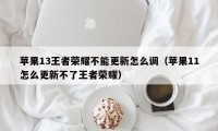 苹果13王者荣耀不能更新怎么调（苹果11怎么更新不了王者荣耀）