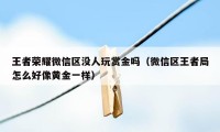 王者荣耀微信区没人玩赏金吗（微信区王者局怎么好像黄金一样）