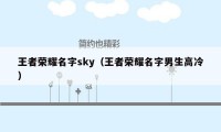 王者荣耀名字sky（王者荣耀名字男生高冷）