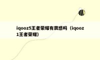 iqooz5王者荣耀有震感吗（iqooz1王者荣耀）