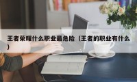 王者荣耀什么职业最危险（王者的职业有什么）