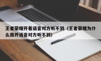 王者荣耀开着语音对方听不到（王者荣耀为什么我开语音对方听不到）