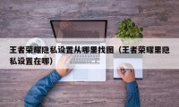 王者荣耀隐私设置从哪里找图（王者荣耀里隐私设置在哪）