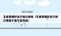 王者荣耀好友打排位视频（王者荣耀好友打排位赛是不是不能观战）