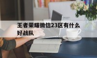 王者荣耀微信23区有什么好战队（微信区最强战队）