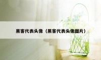 黑客代表头像（黑客代表头像图片）