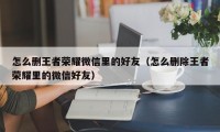 怎么删王者荣耀微信里的好友（怎么删除王者荣耀里的微信好友）