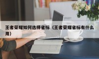 王者荣耀如何选择省标（王者荣耀省标有什么用）