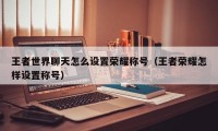 王者世界聊天怎么设置荣耀称号（王者荣耀怎样设置称号）