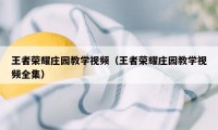 王者荣耀庄园教学视频（王者荣耀庄园教学视频全集）