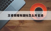 王者荣耀有国标怎么开省级（王者荣耀怎么到国标）