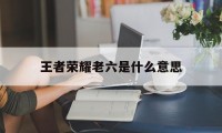 王者荣耀老六是什么意思（王者荣耀6是什么意思）